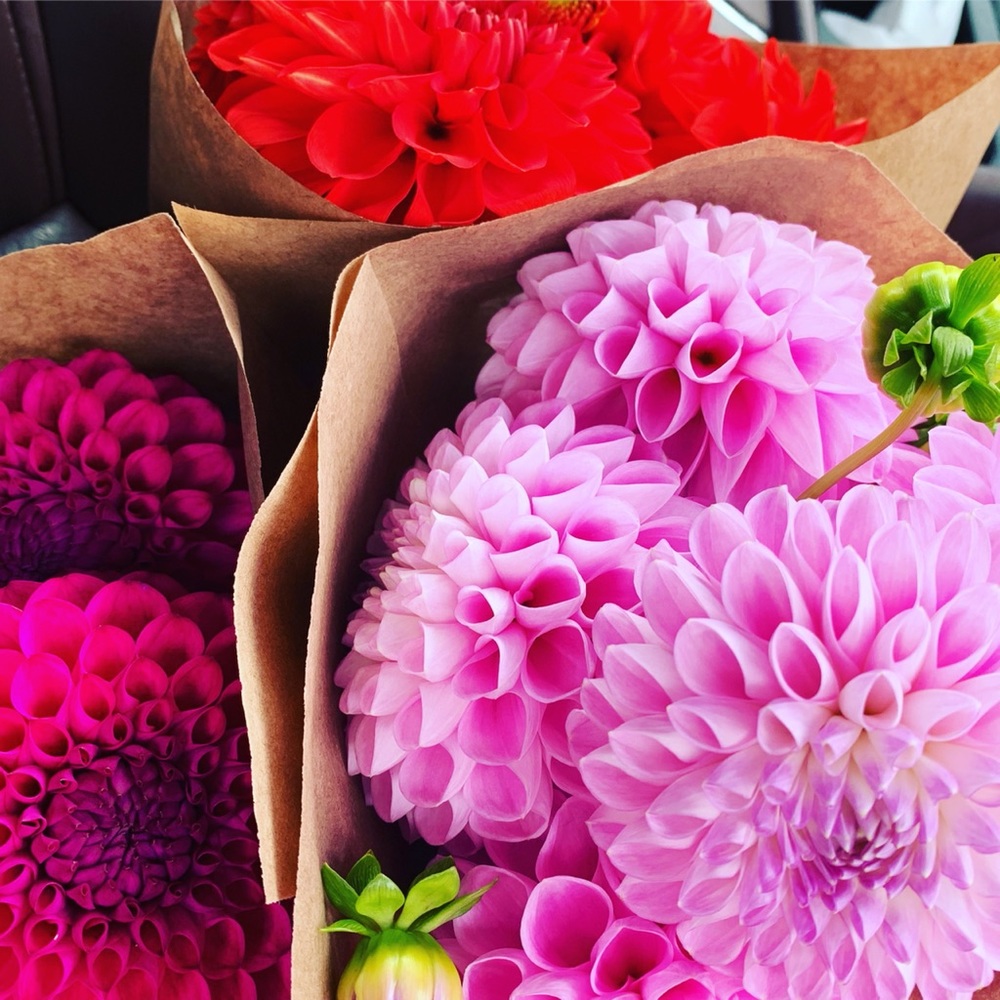 Meet your Posher, Kate